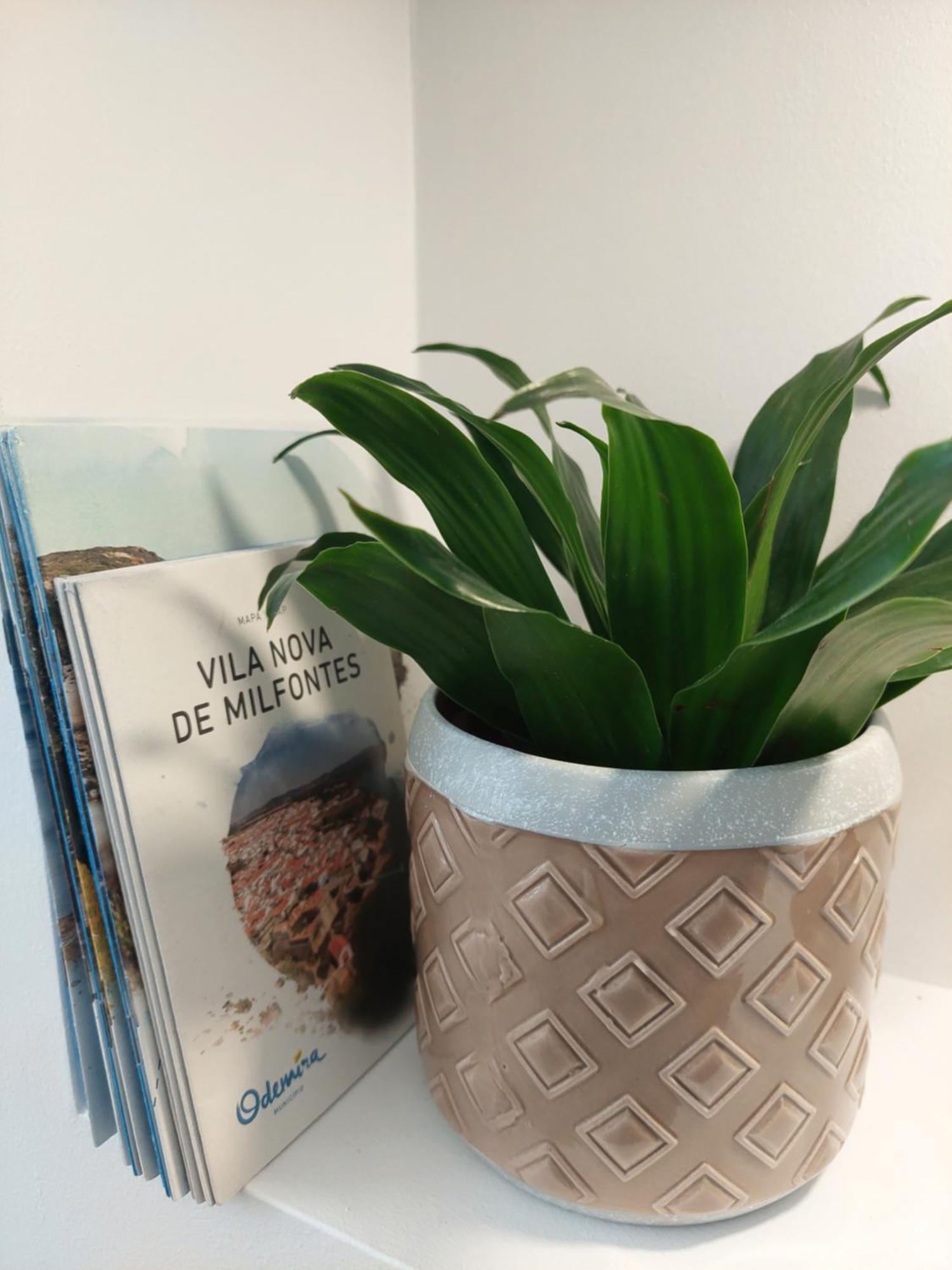 Estudio Lagoa Azul Vila Nova de Milfontes Eksteriør billede